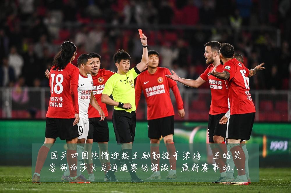 国乒回国热情迎接王励勤握手梁靖崑王皓笑容满面莎头走通道赛场解读：最新赛事动态与深度分析